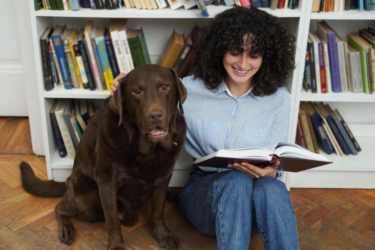 etudes animaux veterinaire