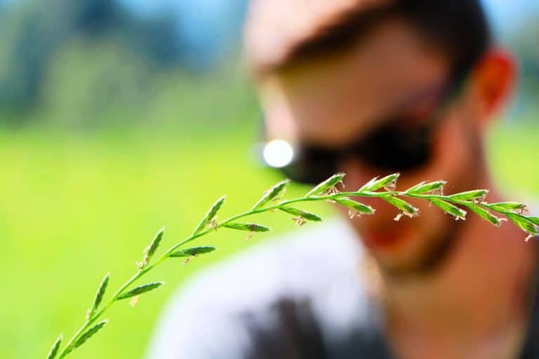 metier environnement